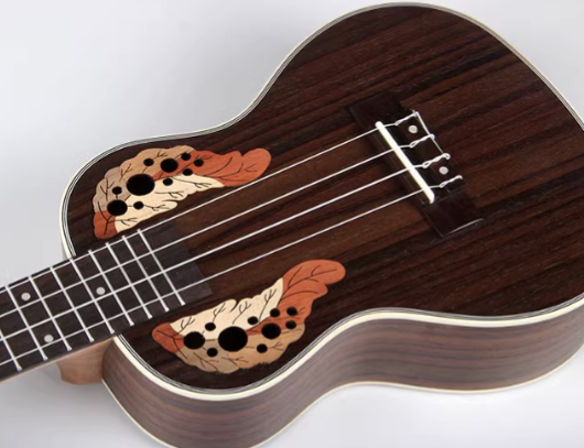 Rosewood Ukulele CAMB - UK23 - Acoustic Electric