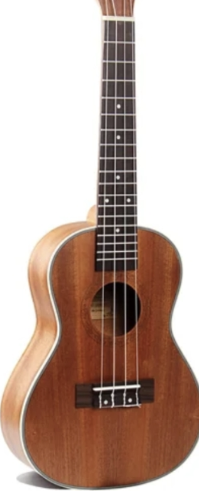 California MusicBox Spruce/zebrawood ukulele acoustic electric "23"