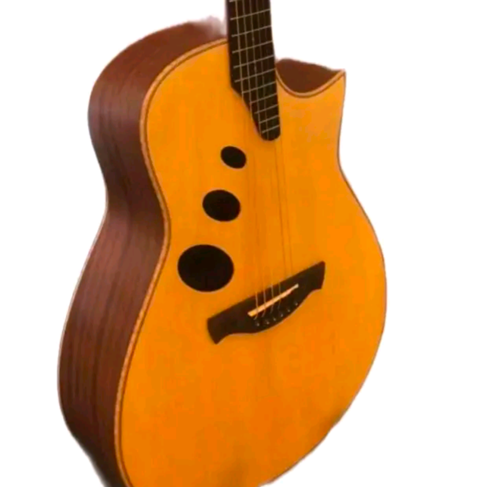 Alexis "2" Acoustic Guitar - Innovation Meets Craftsmanship