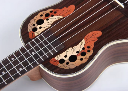 Rosewood Ukulele CAMB - UK23 -  Acoustic Electric