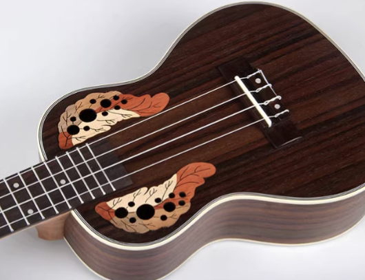 Rosewood Ukulele CAMB - UK23 -  Acoustic Electric