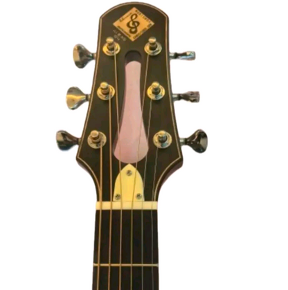 Alexis "2" Acoustic Guitar -  Innovation Meets Craftsmanship